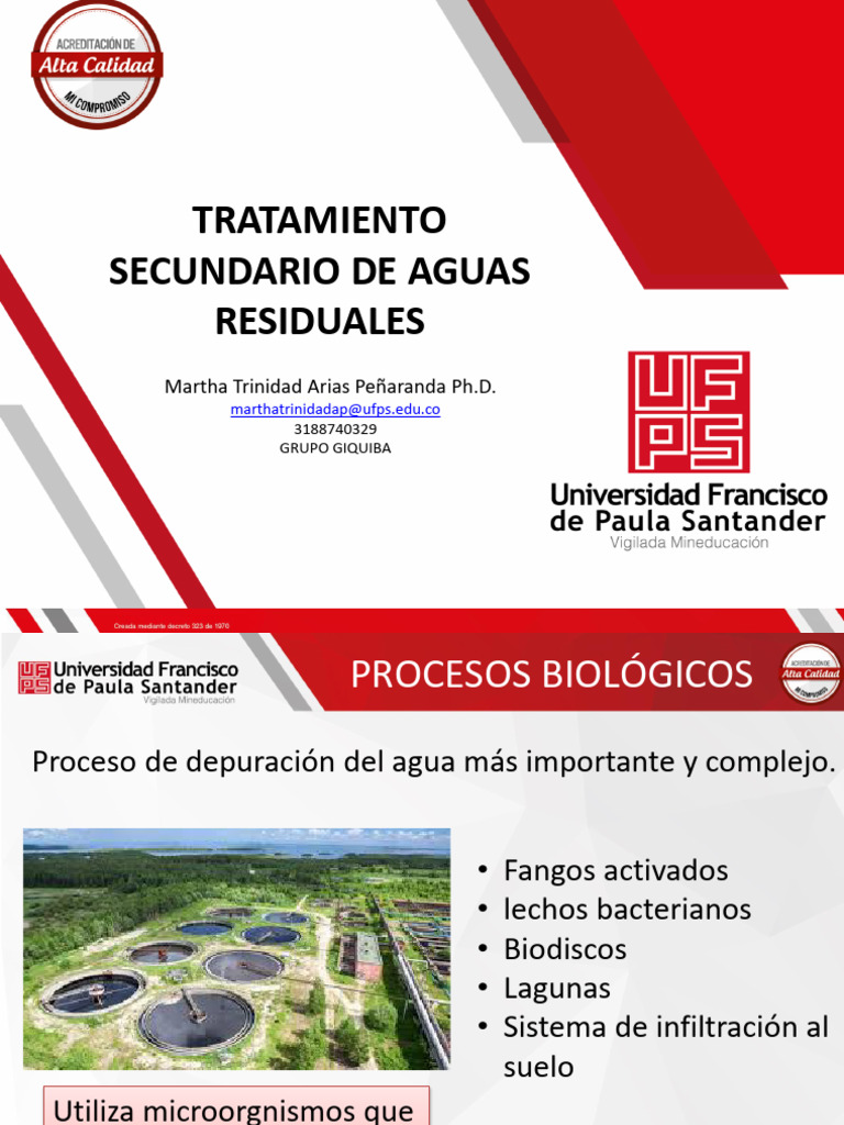 9. TRATAMIENTO AEROBIO | PDF