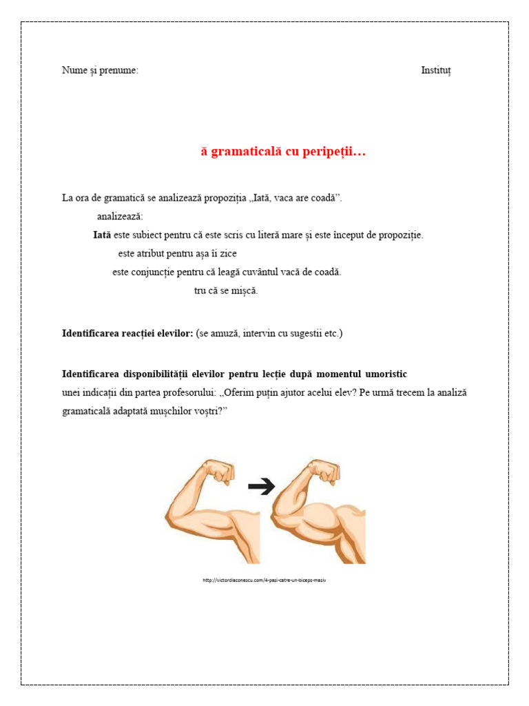 Tema 3 Model | PDF
