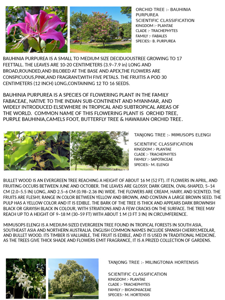 Landscape Assignment | PDF