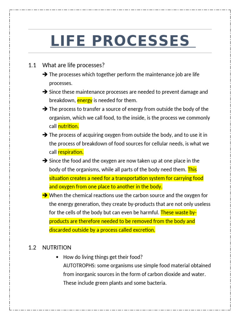 Life Processes | PDF