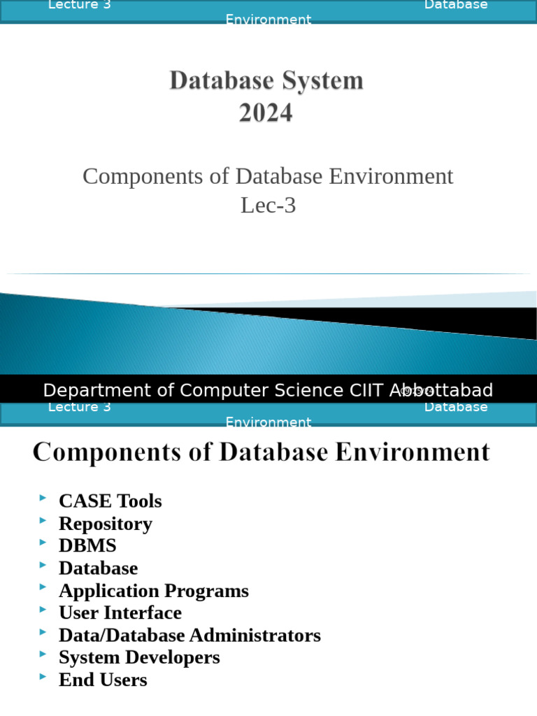 04 Database Environment | PDF