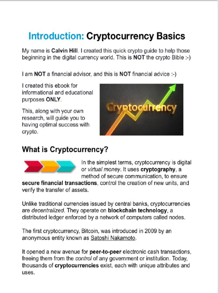 Payyed Investors | PDF