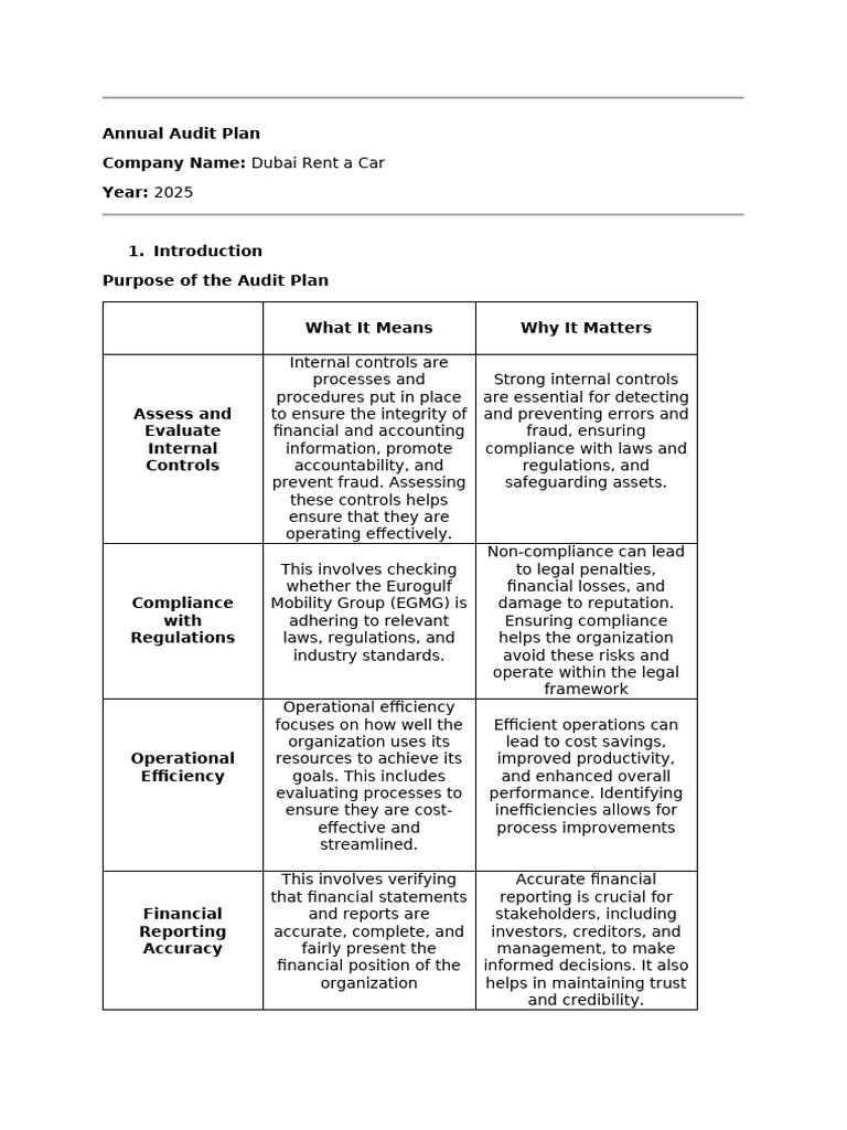 Audit Plan | PDF