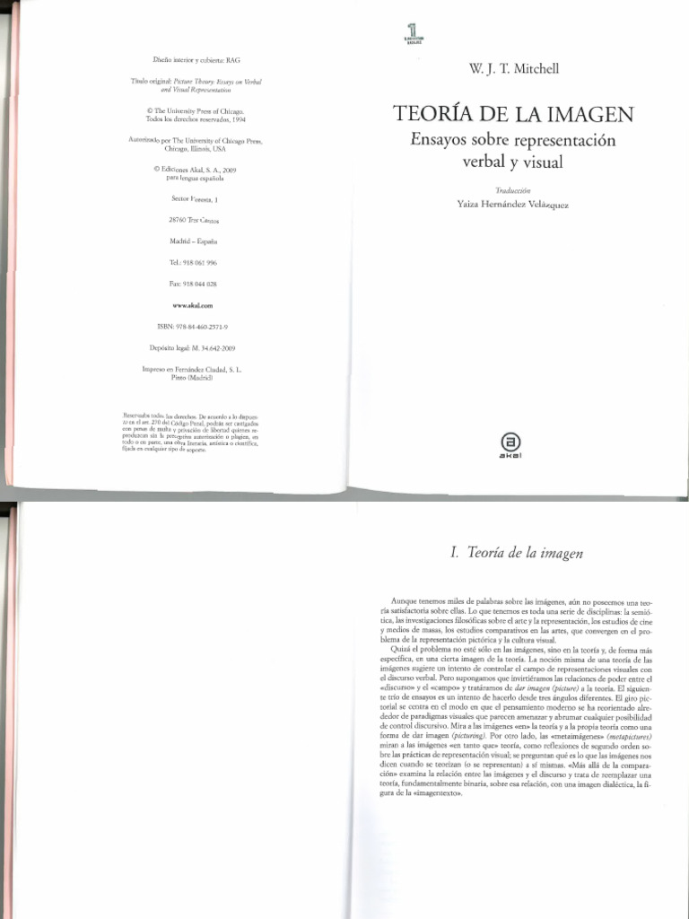 Mitchell - Teoria de La Imagen 1 | PDF
