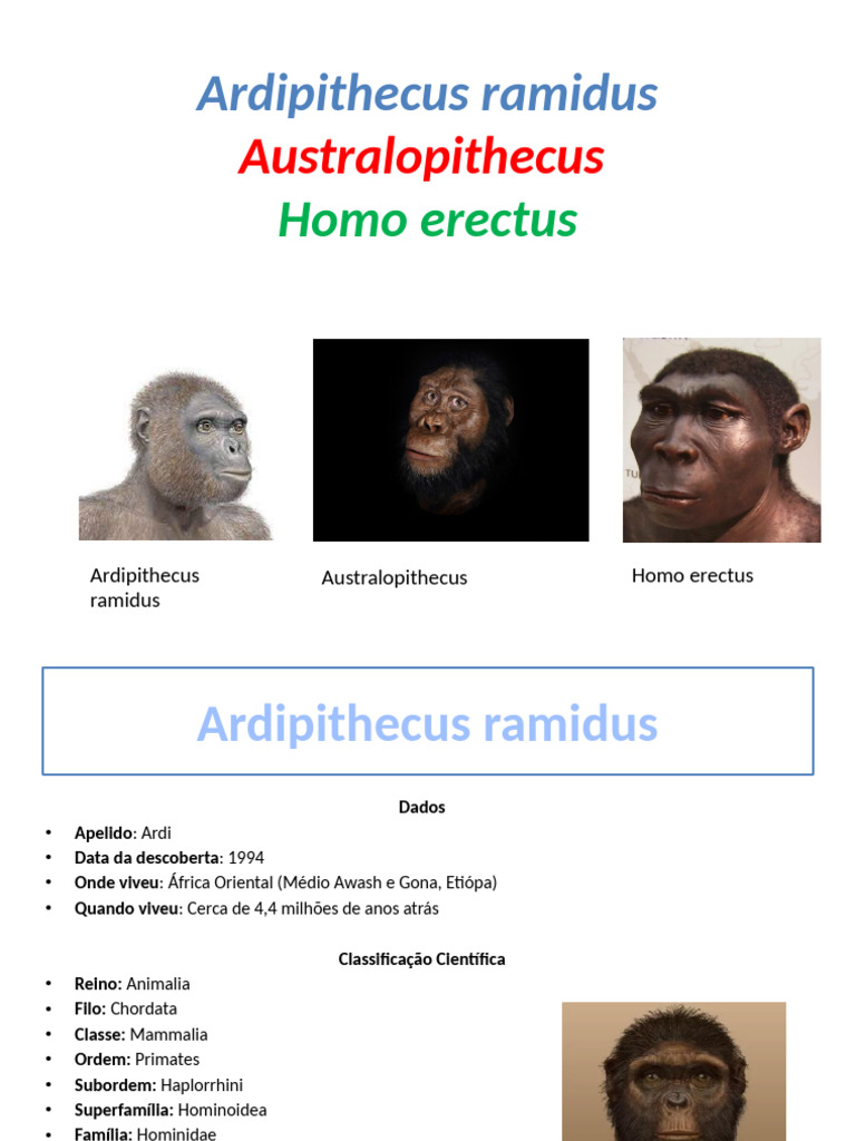 Ardipithecus Ramidus, Australopithecus e Homo Erectus | PDF