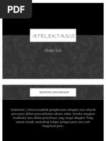 Download Atelektasis by ZaoWa AL SN77287757 doc pdf