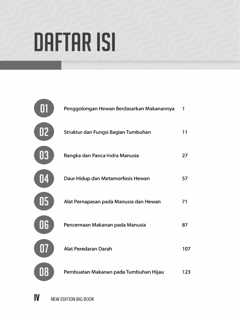 New Edition Big Book IPA SDMI Kelas 4, 5, 6-5 | PDF