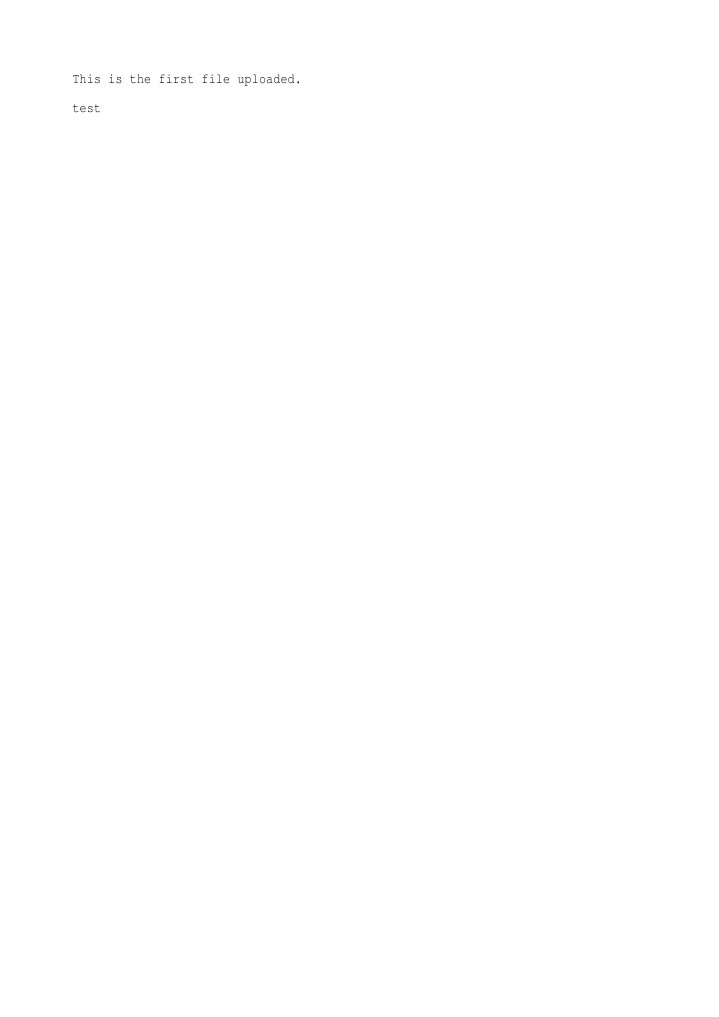 First File Upload Test Document | PDF