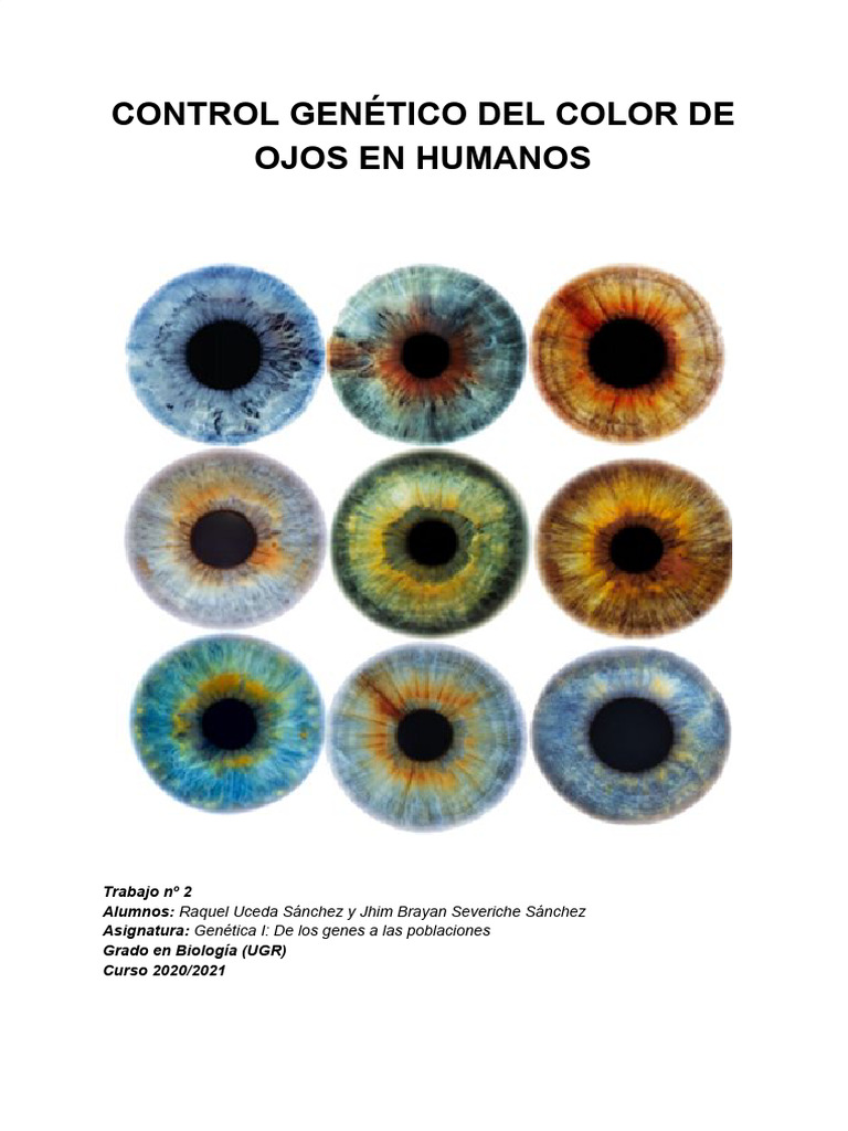 Control genético del color de los ojos en humanos | PDF
