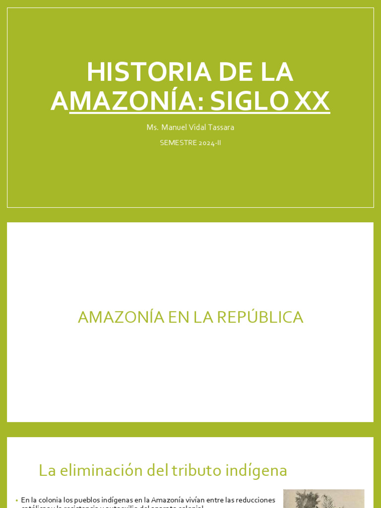 Historia de La Amazonía - Siglo XX | PDF