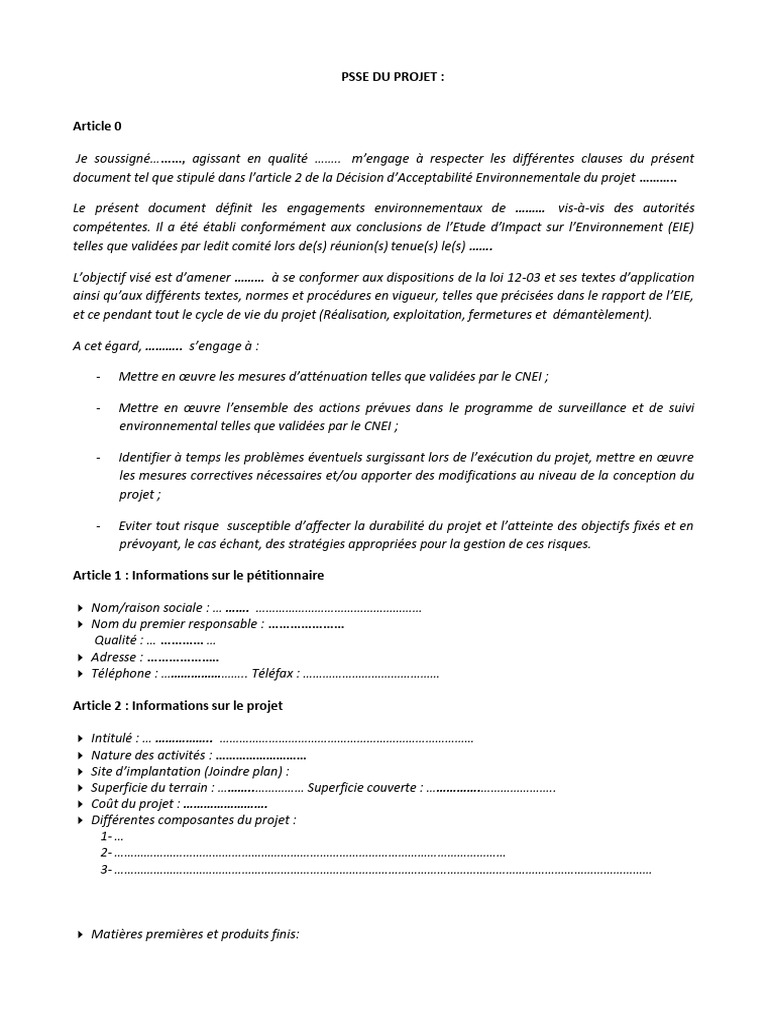 PSSE Du Projet Model-1 | PDF