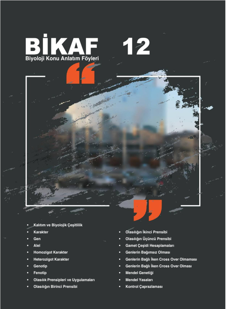 Bi 12 | PDF