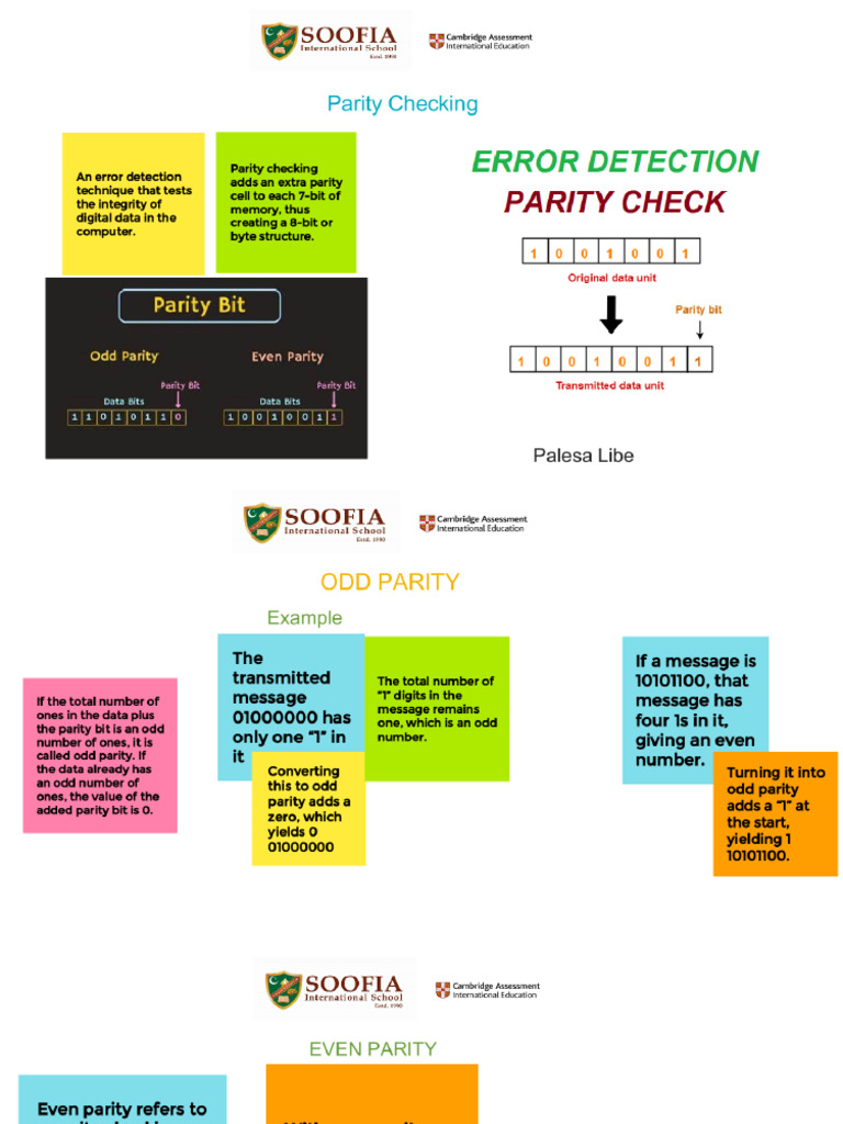 Parity Check Pdf