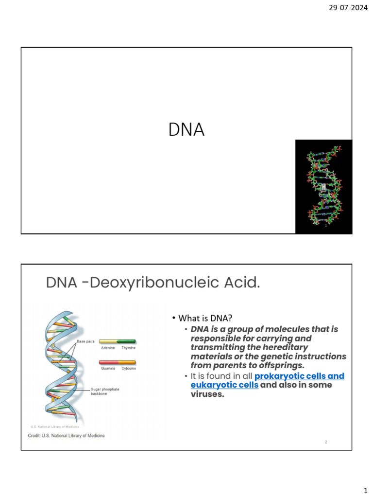 DNA Structure and Replication Overview | PDF | Dna | Dna Replication
