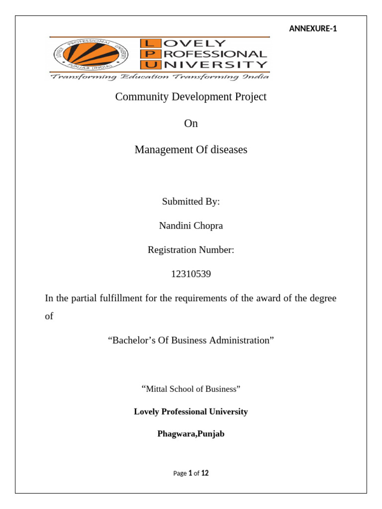 Nandini Ngo Report | PDF