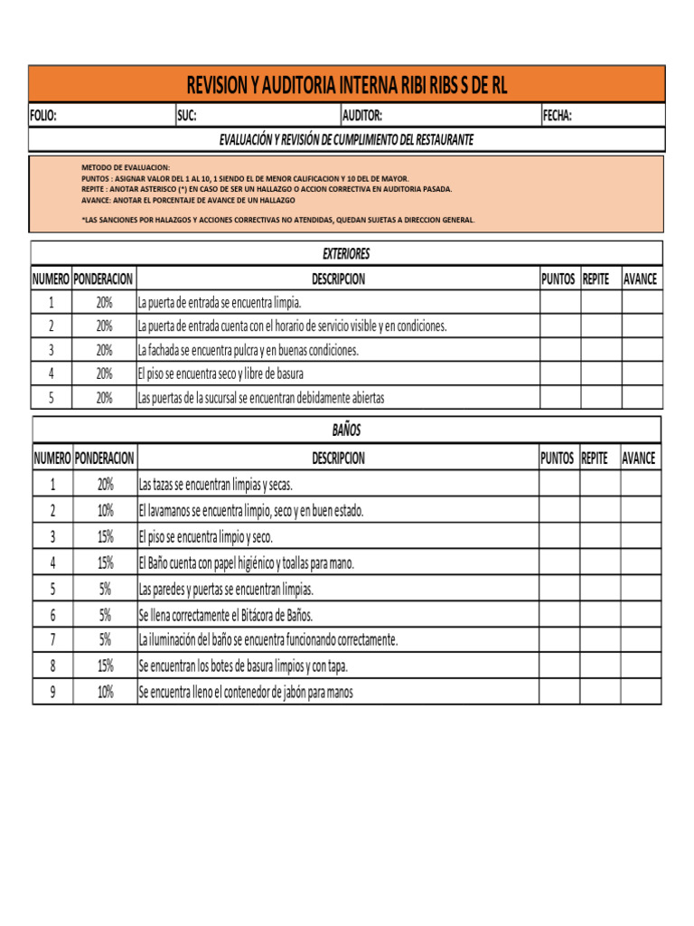 Auditoria Ribi Ribs | PDF