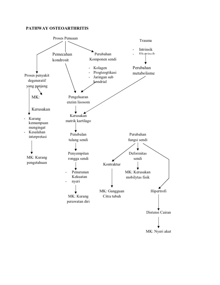 Pathway Osteoarthritis