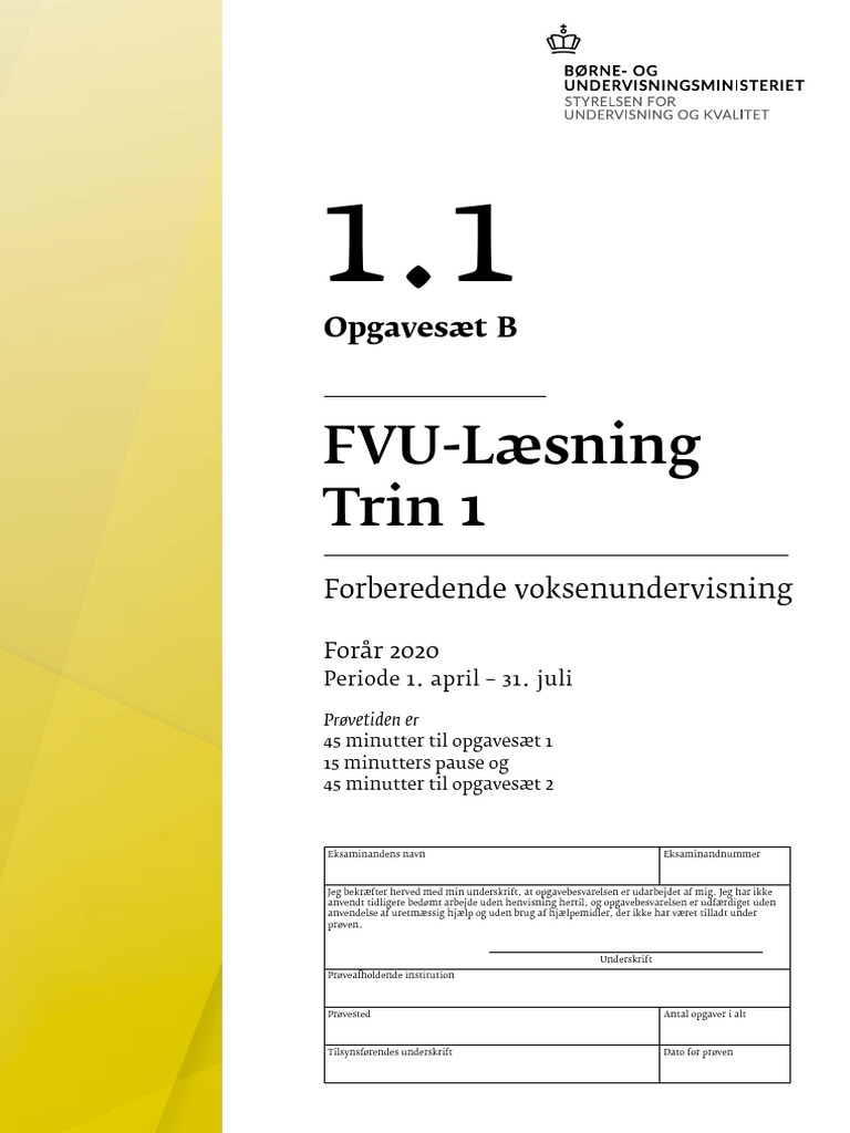 FVU-trin 1.1 - Eksempel | PDF