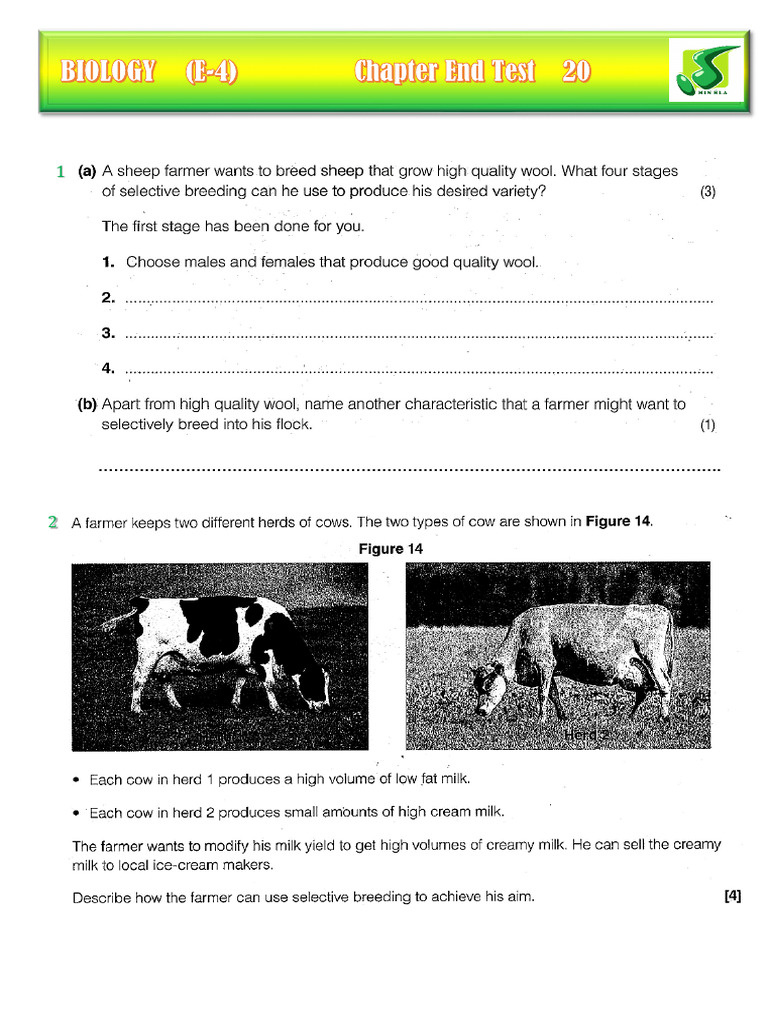 Edexcel Biology Chapter End Test 19 Selective Breeding | PDF