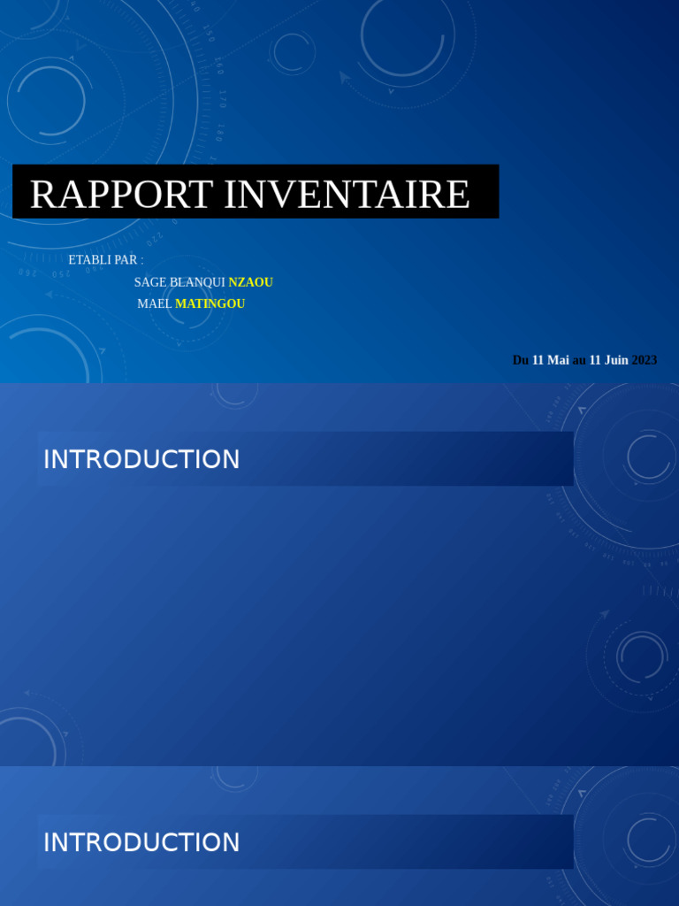 Rapport Inventaire | PDF