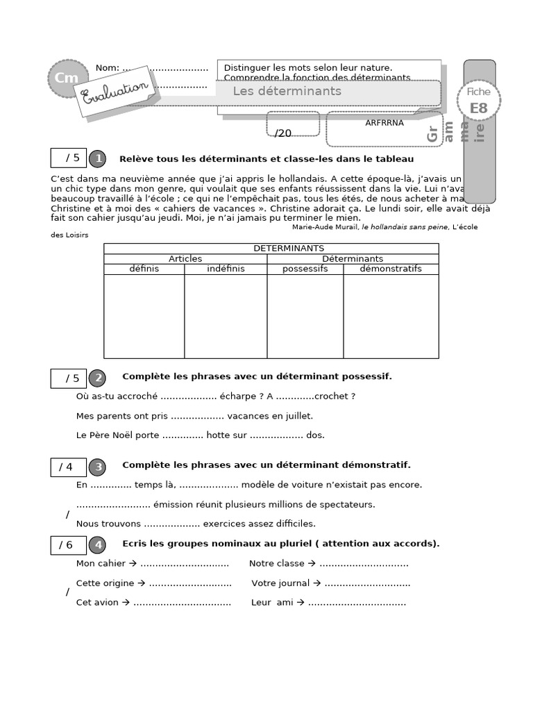 Cm1 Evaluation Determinants | PDF