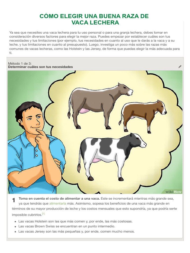 Cómo Elegir Una Buena Raza de Vaca Lechera | PDF