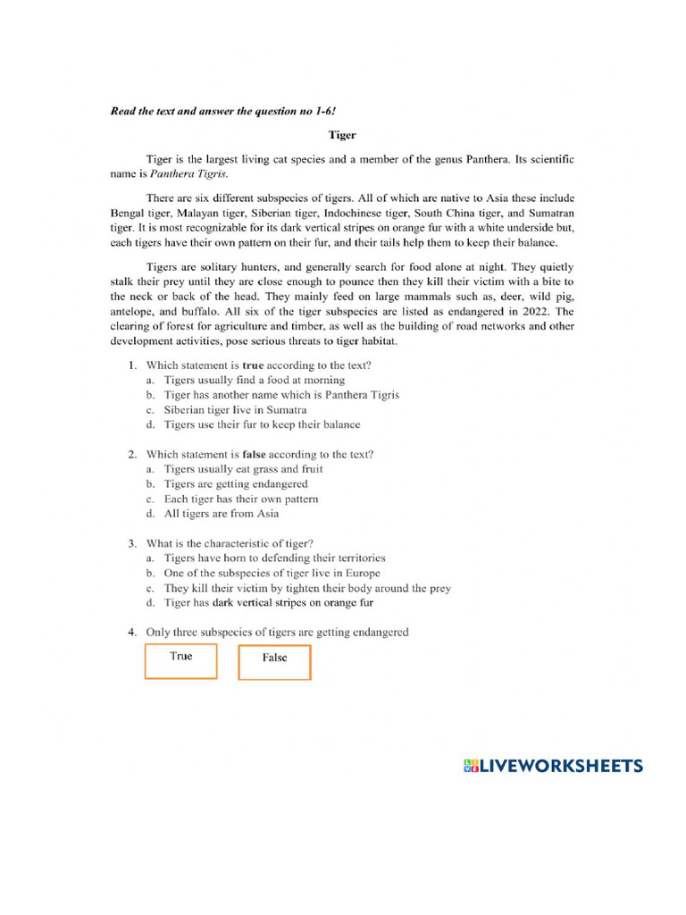 Document | PDF
