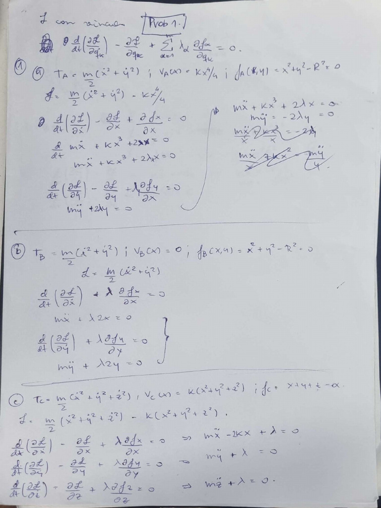 L1 | PDF