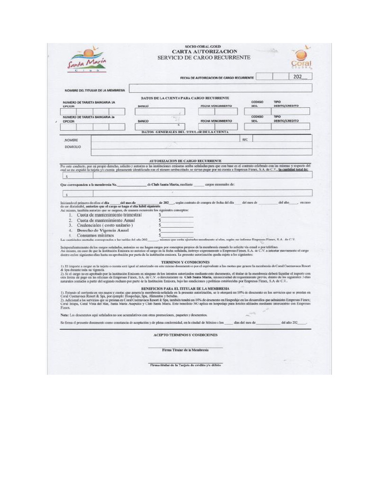Formato PDF | PDF