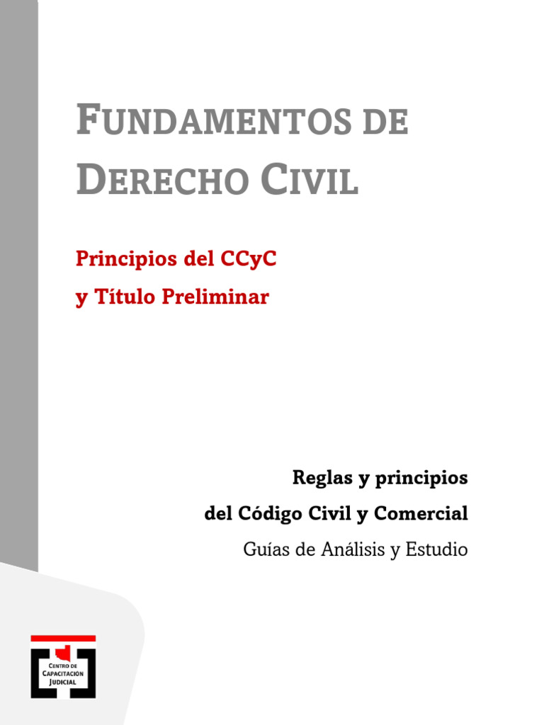 Guía Del CCyC - Principios - 1 | PDF