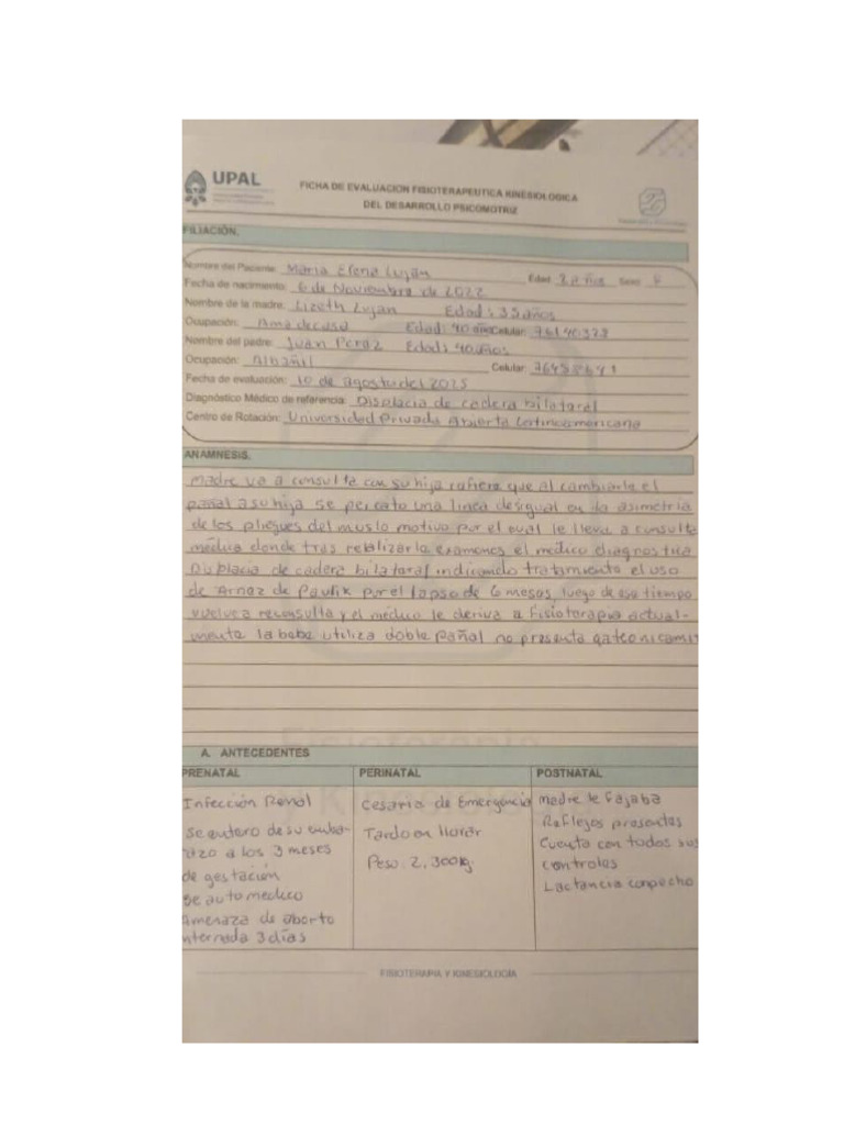 Ficha | PDF