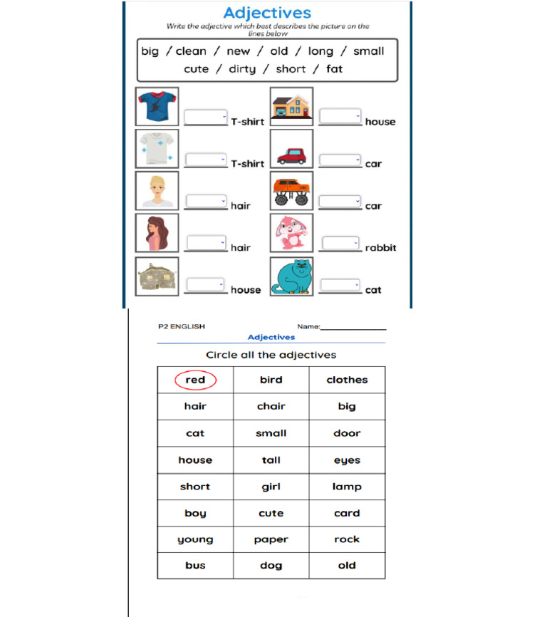 Adjective Words Practice | PDF