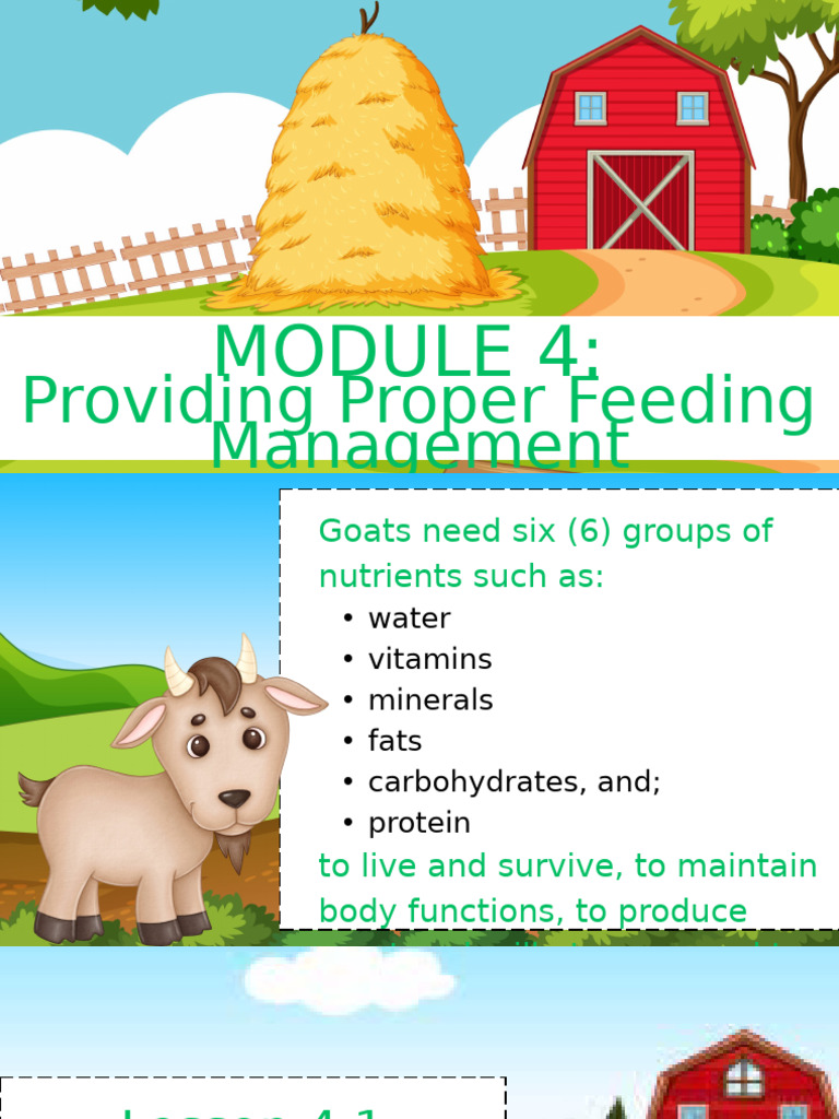 Lesson Module 4 | PDF