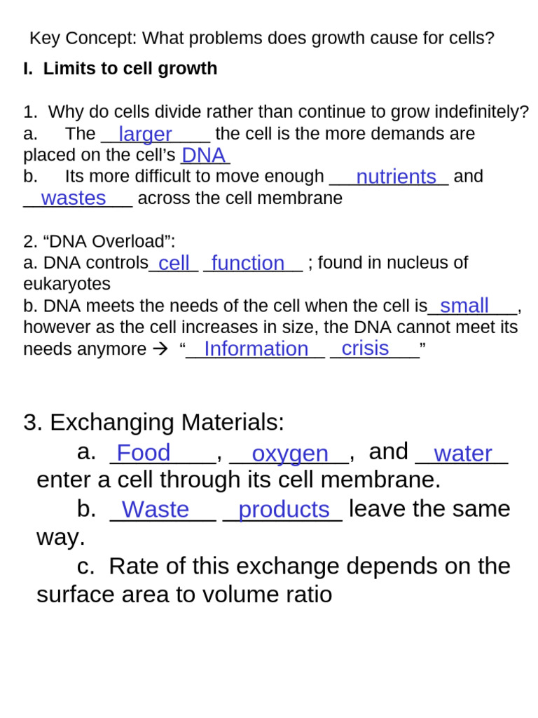 Cell Cycleppt | PDF