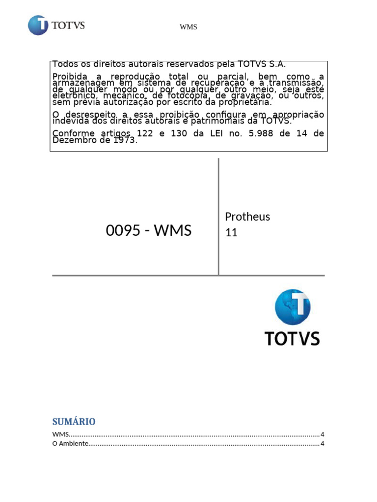 WMS P11 | PDF