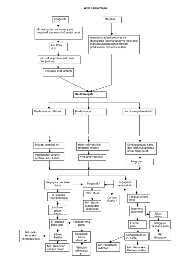 Pathway Kardiomiop | PDF