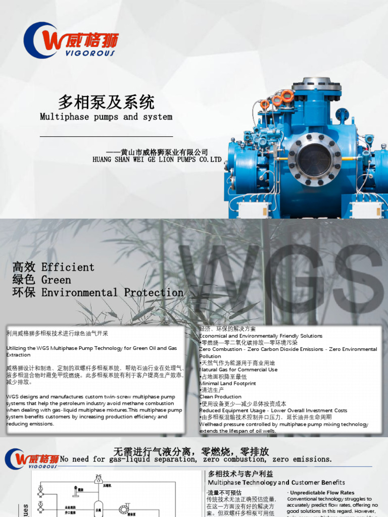 WGS Multiphase Pump and System | PDF