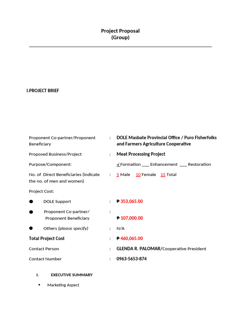 Templated Project Proposal | PDF