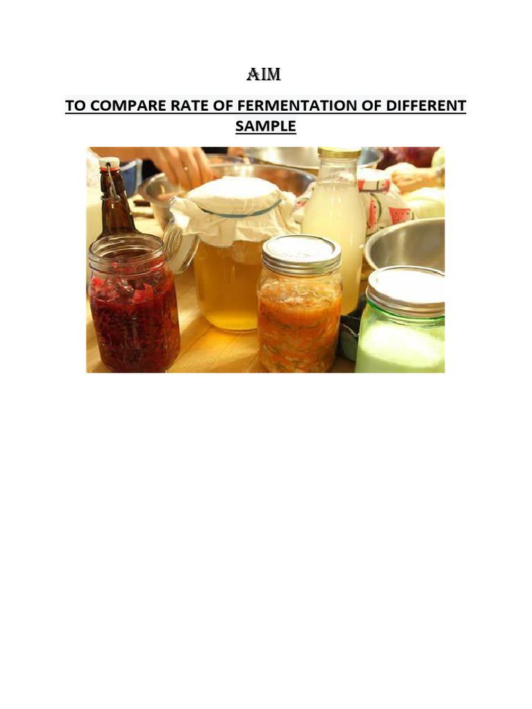 Rate of Fermantation | PDF