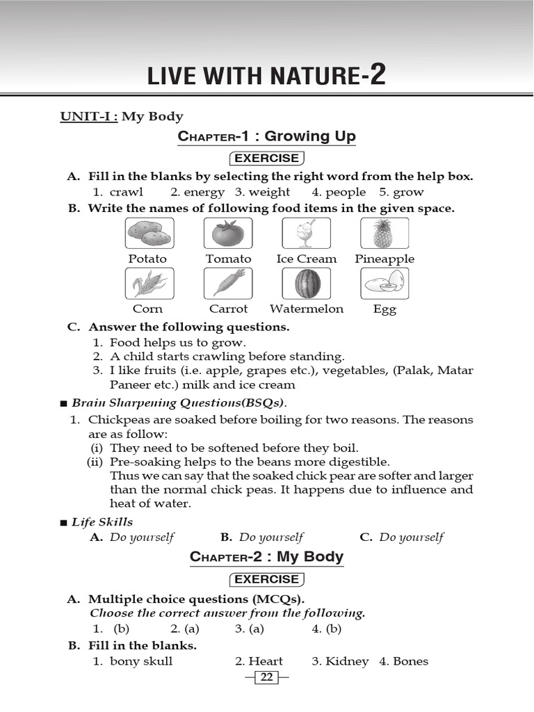 Evs 2 BS | PDF
