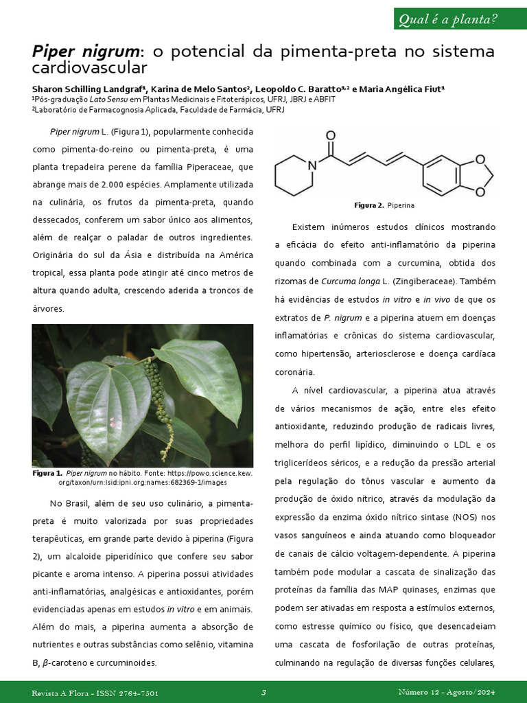 Piper A Flora | PDF