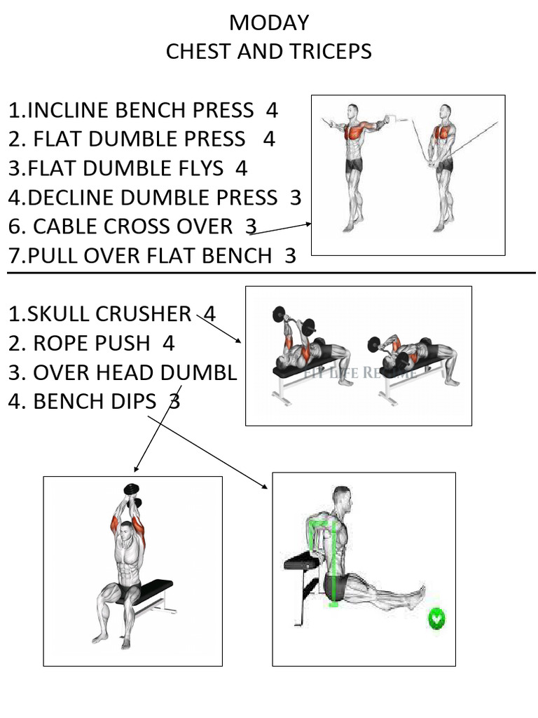 Weekly Workout Plan: Strength Focus | PDF | Art