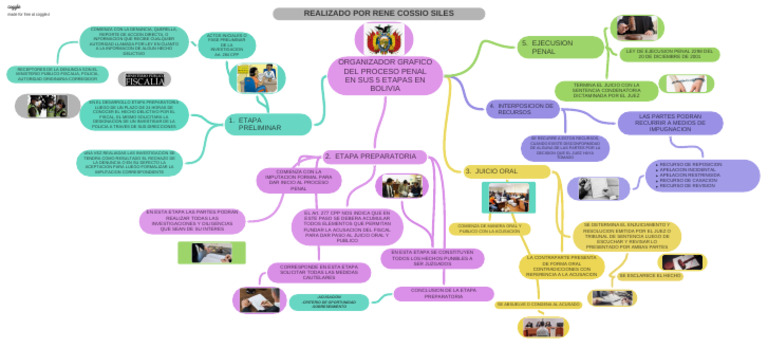 Organizador Grafico Del Proceso Penal en Sus 5 Etapas en Bolivia | PDF