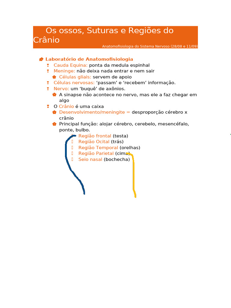 2 1 Ossos Suturas E Regiões Do Crânio Pdf