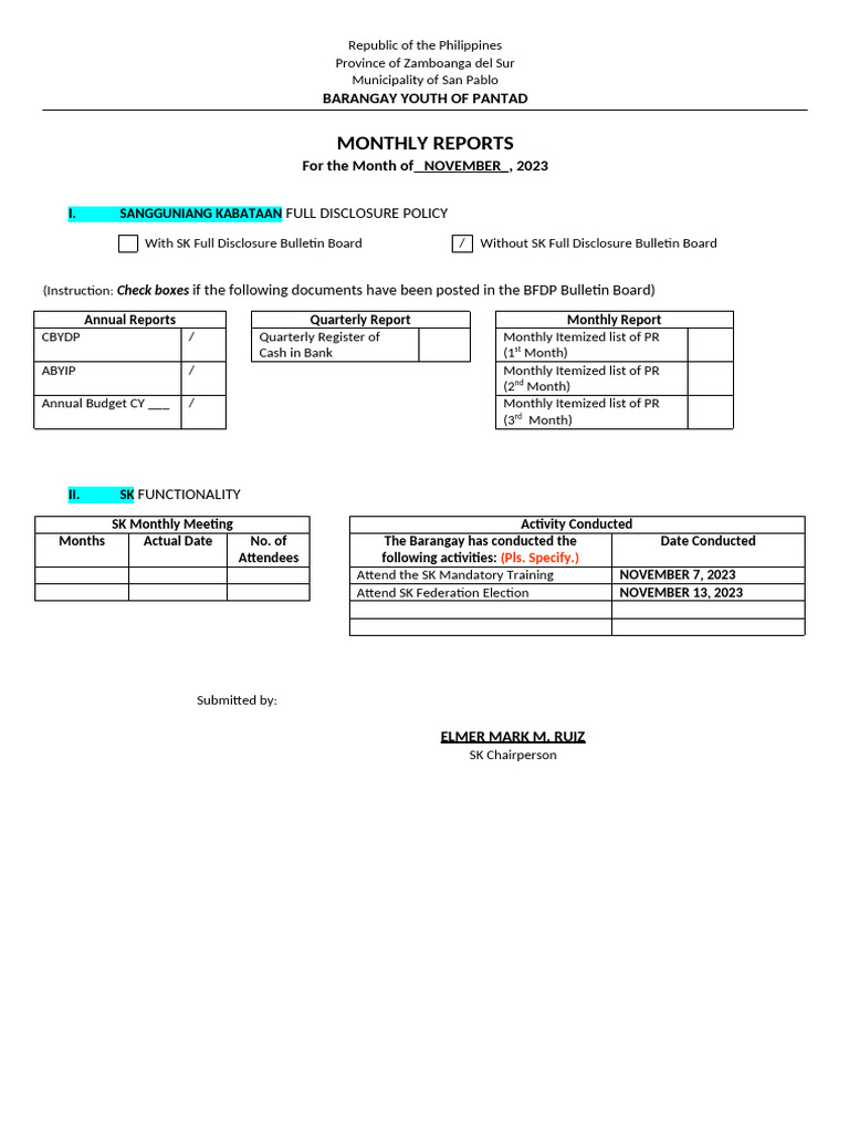 Brgy Youth Monthly Reporting Template PDF