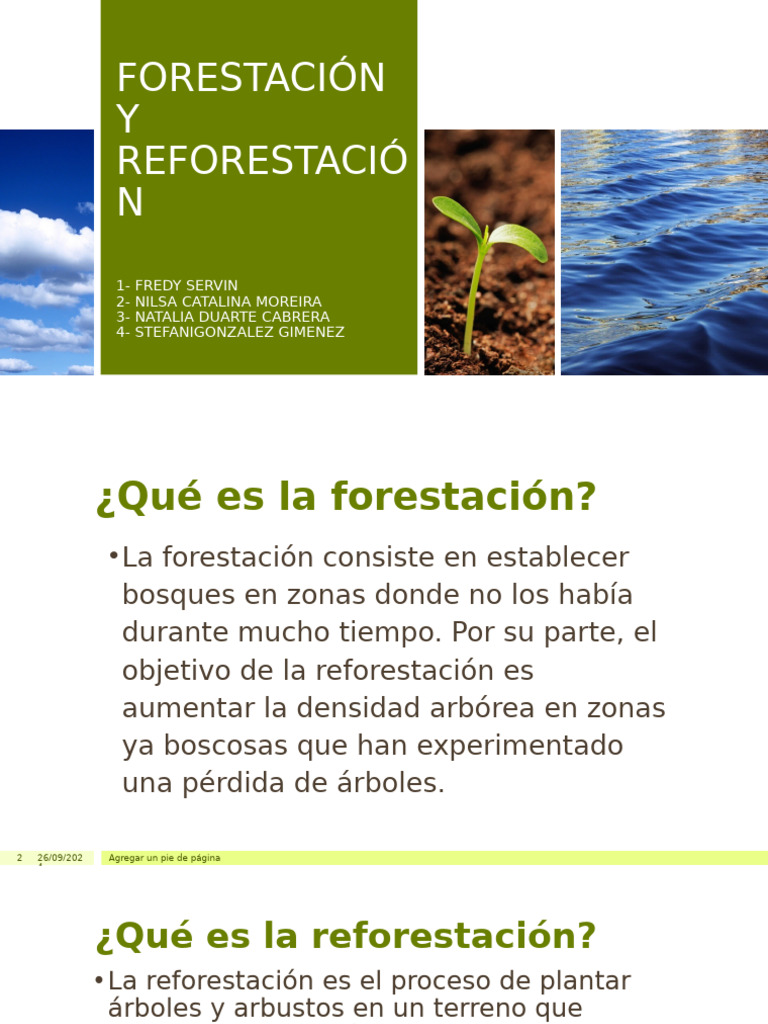 Presentación Forestación y Reforestación | PDF