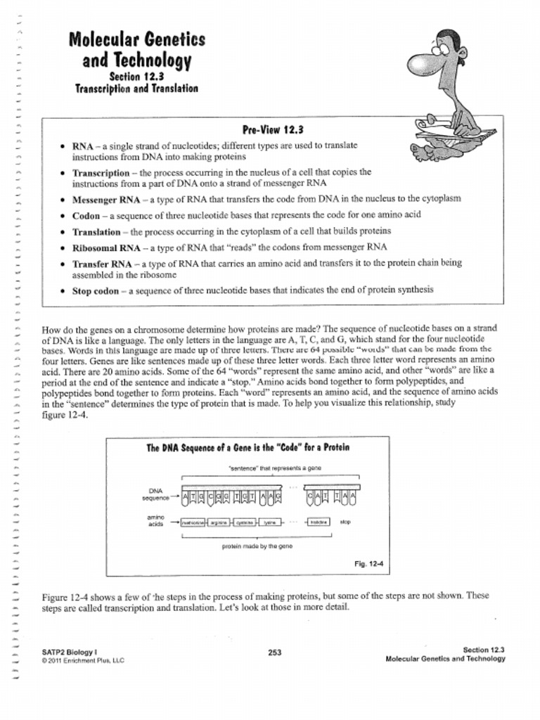 Rna And Protein Synthesis Pdf