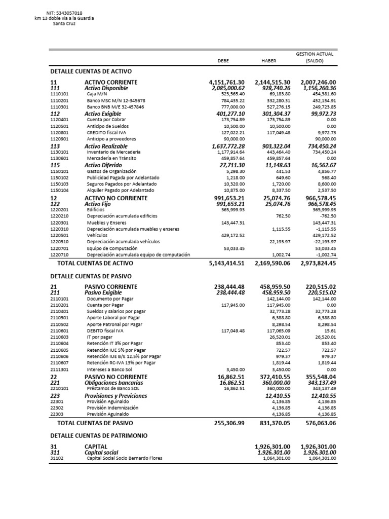 Balance general de vision plus pdf