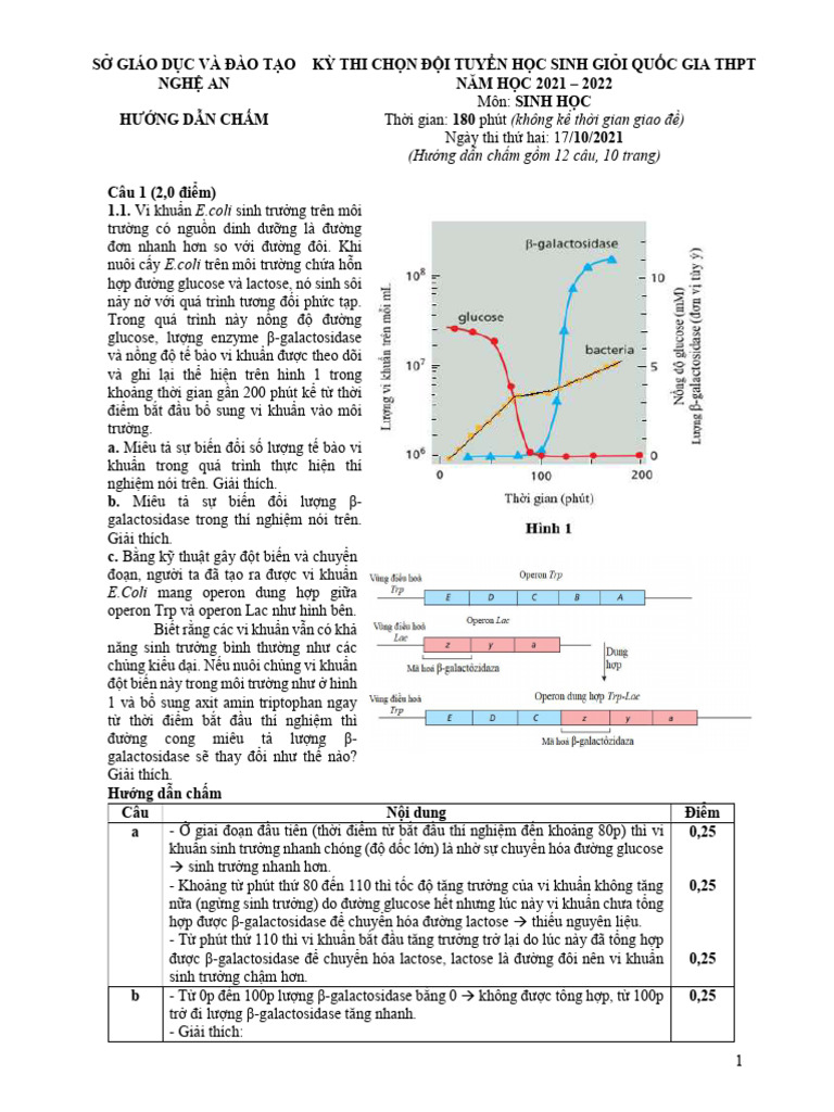 HDC - Ngày 2 | PDF