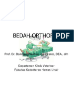 Bedah Orthopedi UB